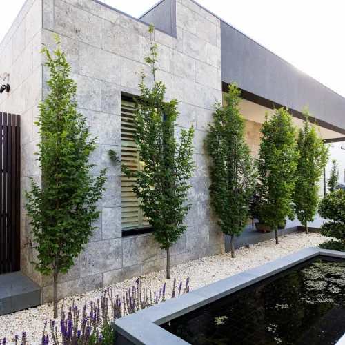 فروش سنگ صلصالی تهران برای مراکز کنفرانس بین المللی